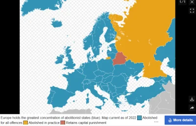 Lach__Anonim - @Grzesiok: zgadzam się. Ale najpierw trzeba przywrócić karę śmierci. A...
