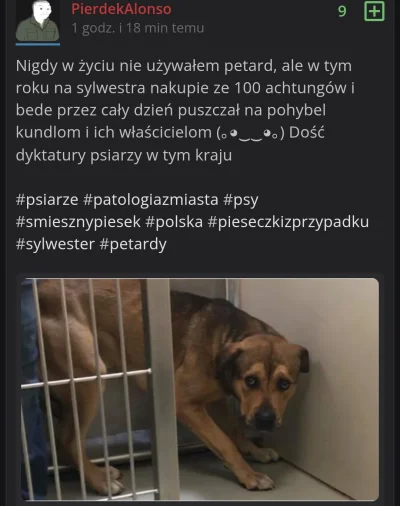czahrolek98 - Śmieszne jest to, że psiegrywy z tagu #przegryw myślą, że tylko #psy bę...