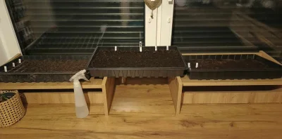 Z.....a - @MakaronowyStwor: sałata to to po lewej, w Multiplacie są też pory, to drug...