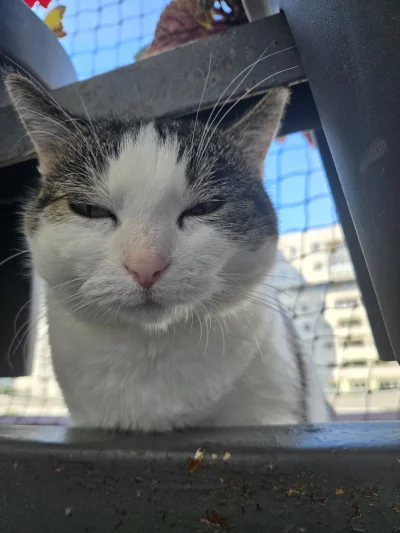 Solsith - @Lapidarny: popularny model( ͡° ͜ʖ ͡°)