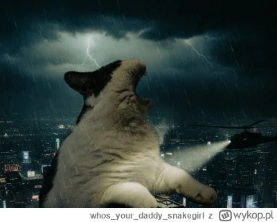whosyourdaddy_snakegirl - @Solsith

*Call of Spaślak*