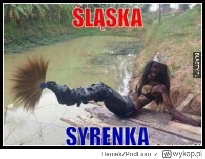 HeniekZPodLasu - Tak tylko przy okazji zostawiam.