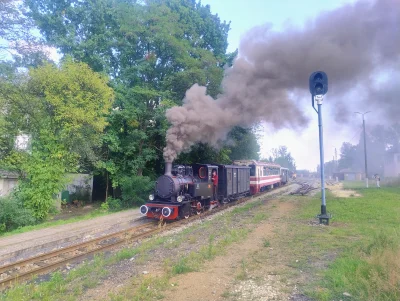 sylwke3100 - A tu wcześniej ten sam parowóz na stacji (jechał w przeciwną stronę) 

 ...