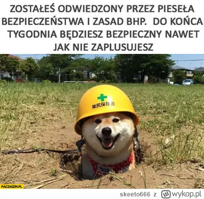 skeeto666 - #pracbaza