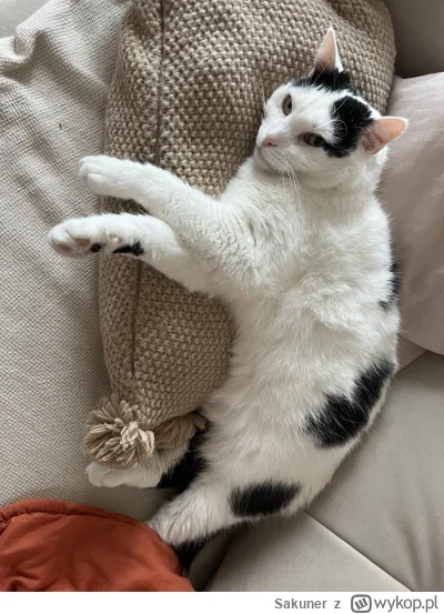 Sakuner - @Sheep  Bogusław, chyba utracony brat