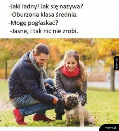 mirko_anonim - ✨️ Fenomen socjologiczny współczesnego Polaka Ⓘ
Ktoś mi wytłumaczy fen...