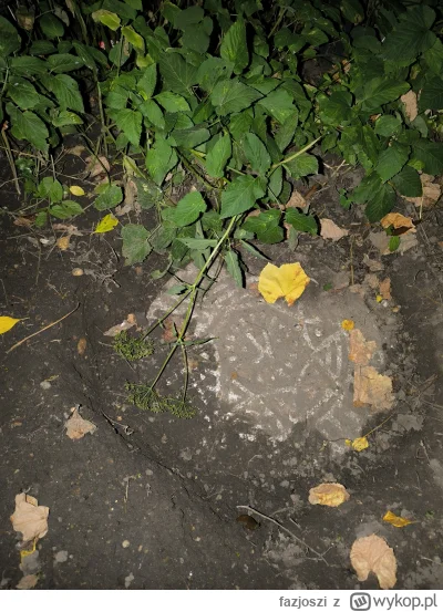 fazjoszi - Uff portal odnalazłem