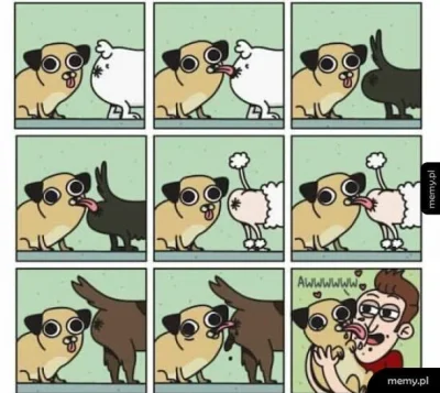 Itslilianka - Beka z tych kryptokoprofili #psiegryw #psiarze