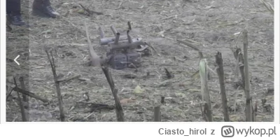 Ciasto_hirol - @PrawdaTeraz