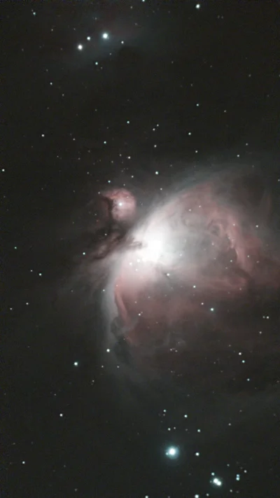 sanctioned_suicide - @TP53: