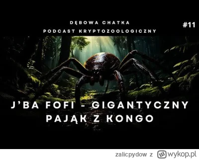 zalicpydow - #przegryw Polecam na sen https://www.youtube.com/watch?v=nDOoecofhFo