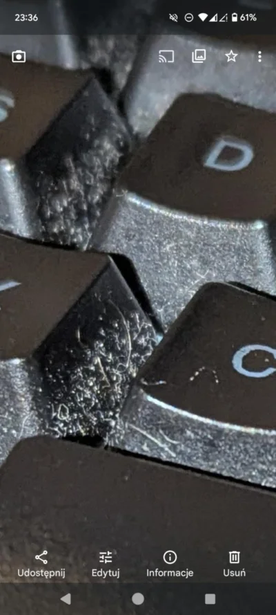 Prezydent_przegrywu - @BabblingBook Pixel