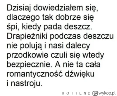 ROTTE_N - #ciekawostki