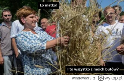 windows95 - #heheszki #bekazpisu #polityka