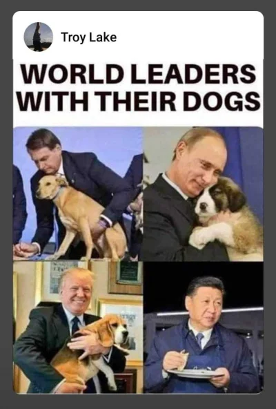 PucamIzMercedesa - @Cygan_Wojtus: