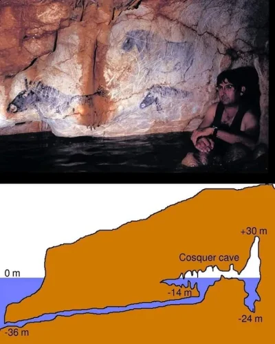 pogop - The Cosquer cave is a Palaeolithic decorated cave, located in France, that co...
