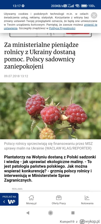 Kumpel19 - Polska chce zakazać importu mrożonych malin i truskawek z Ukrainy

 Polska...