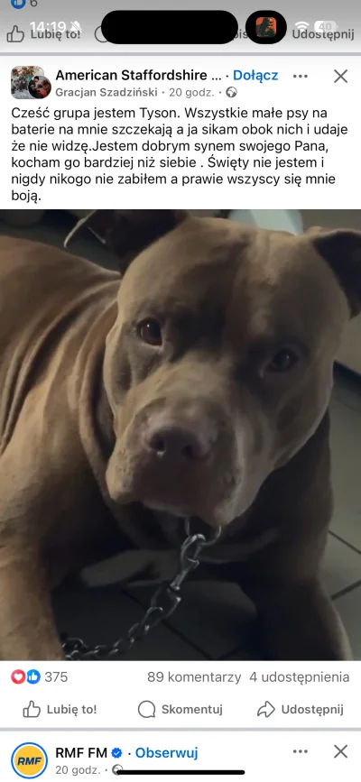 Spadlaznieba - #psiarze