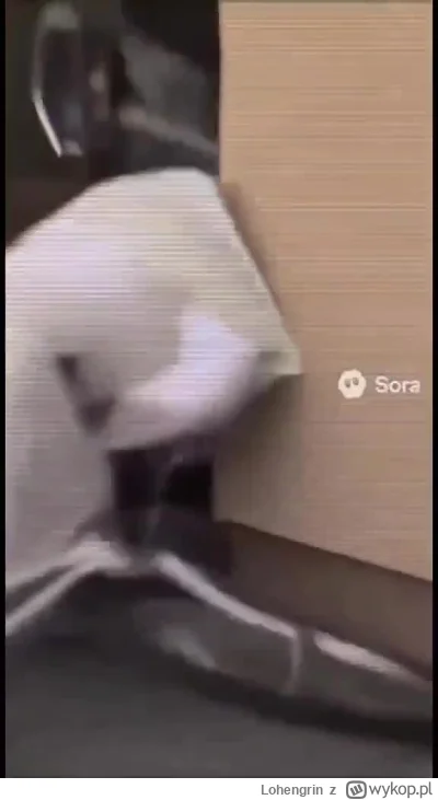 Lohengrin - #porannacenzopapa #2137