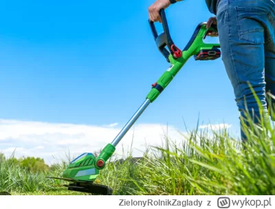 ZielonyRolnikZaglady - Witam,

Potrzebuję jakiejś w miarę dobrej podkaszarki elektryc...