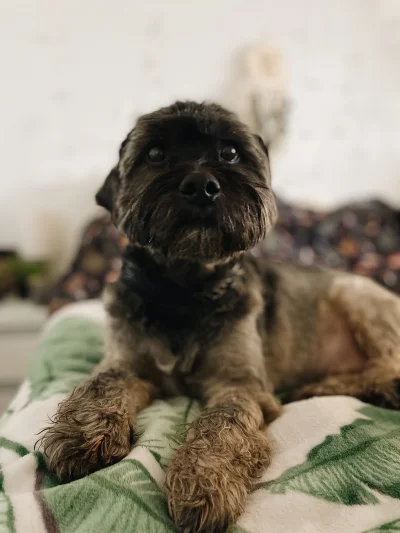 cytmirka - @SereneCipher @FHA96 Spacerek był przed pakowaniem, inaczej by mi nie pomó...