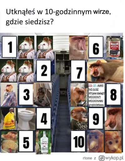 rtone - #konkursnanajbardziejgownianymemznosaczem

SPOILER