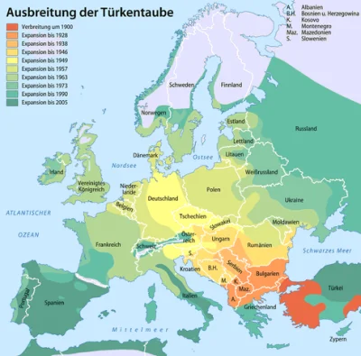 osetnik - Turecki nachodźca.
Niech wraca skąd przybył.