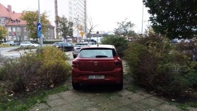 kicek3d - Kumulacja idiotów ヽ( ͠°෴ °)ﾉ

#szczecin #parkowanie #patologiazmiasta