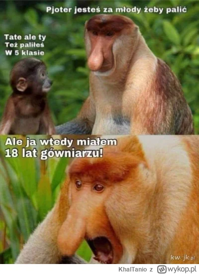 KhalTanio - #heheszki #nosaczsundajski