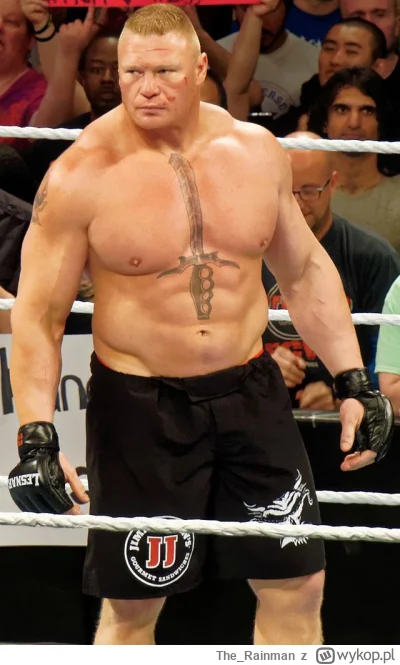 The_Rainman - @meemphis11 był i taki jeden byczek co z wrestlingu (WWE) poszedł do UF...