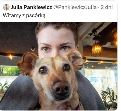 dwaplusdwatocztery - Pies to nie jest zwierzę to jest wymysł człowieka!!! Wilk tak i ...