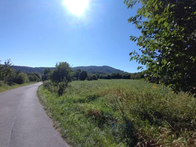 przezwzrostprzegralemzycie - #przegryw