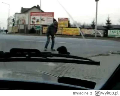 thylacine - @AdamKonarskiz_Katowic: niech giną https://www.youtube.com/watch?v=P17pg5...