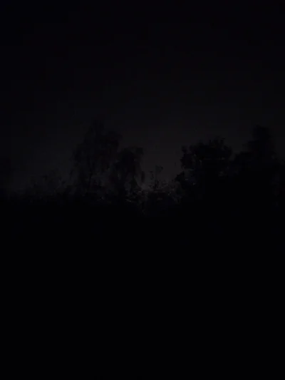 Adwokat_Diabla - WSP wspólnicy