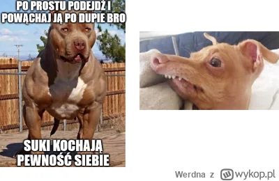 Werdna - >powąchałbym jej srake

@michal1498: