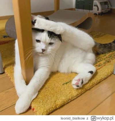 leonidbialkow - @CorvusFrugilagus: cze dla latajoncego