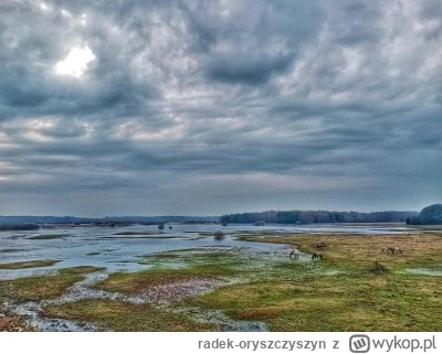 radek-oryszczyszyn - Tegoroczne, wiosenne roztopy. Jeździłem po okolicach, do rzek Na...