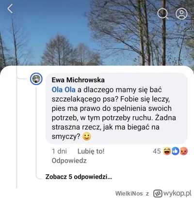 WielkiNos - Przeszkadza ci biegający bez smyczy pies w parku? Lecz się. Piesek ma pra...