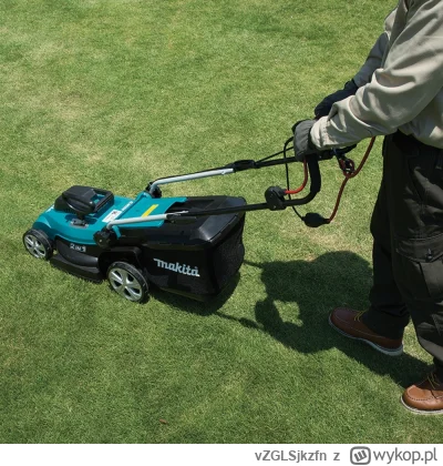 vZGLSjkzfn - @panDario: