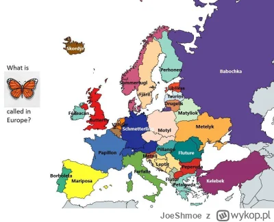 JoeShmoe - Motyl - w różnych językach europejskich. #ciekawostki #jezykiobce #histori...