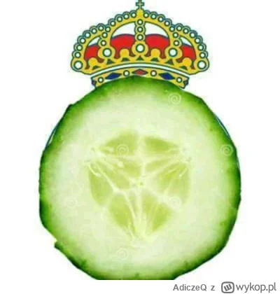 AdiczeQ - #mecz Ogórki wyjaśnione