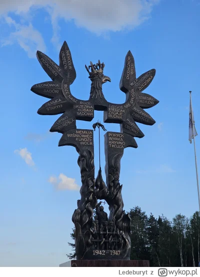 Ledeburyt - Dobry pomnik jest na Podkarpaciu. Obok Domostawy.