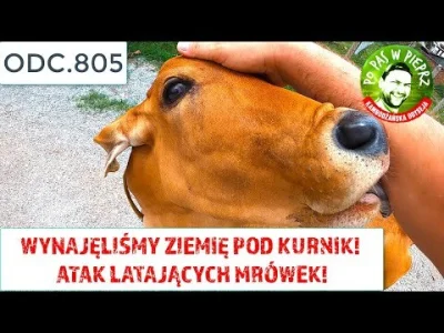 Moczymorda77 - #raportzpanstwasrodka
Akcja w barze.
Kamerdynerzy zjedli i pojechali.
...