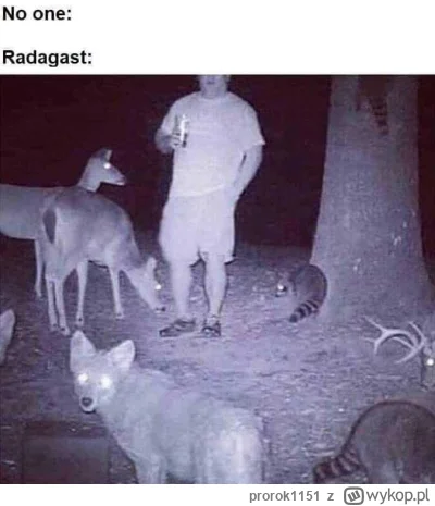 p.....1 - #memy #nerd #geek #lotr