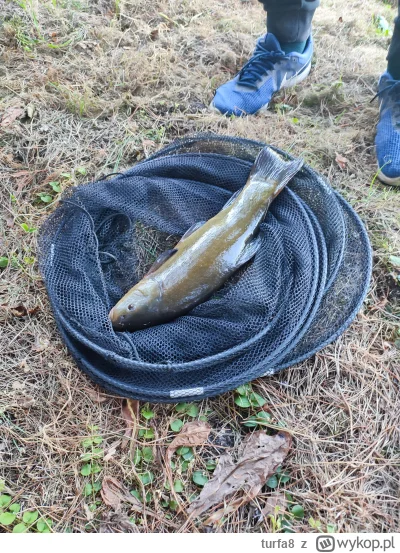 turfa8 - @turfa8: złowiony lin