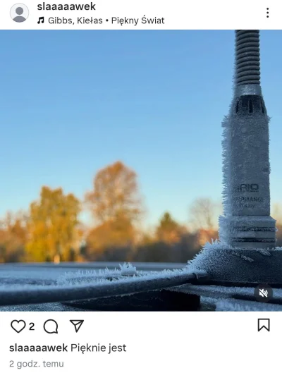 piSSowiec39 - #kononowicz