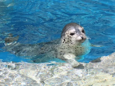 almete - dobra najwyżej wstane wczesniej i wszystko ogarne teraz to c--j