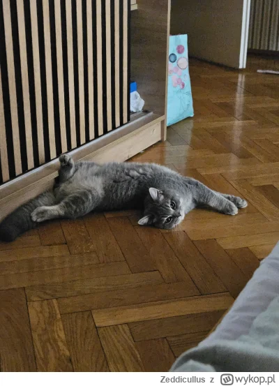 Zeddicullus - @Solsith No właśnie droga ekspresowa, środek nocy, znikomy ruch, można ...