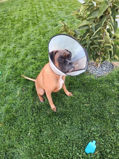 ryhu - Ostatnio ludzie zrobili się czujni, dlatego zamontowaliśmy satelitarny system ...