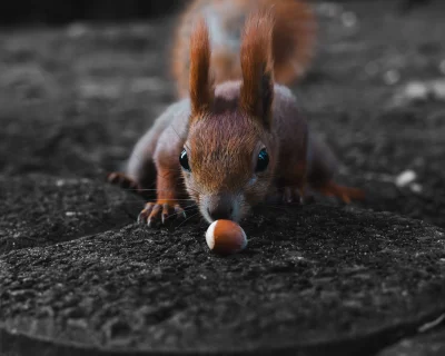 LoopyMajestic - #fotografia #tworczoscwlasna #chwalesie #spierdotrip